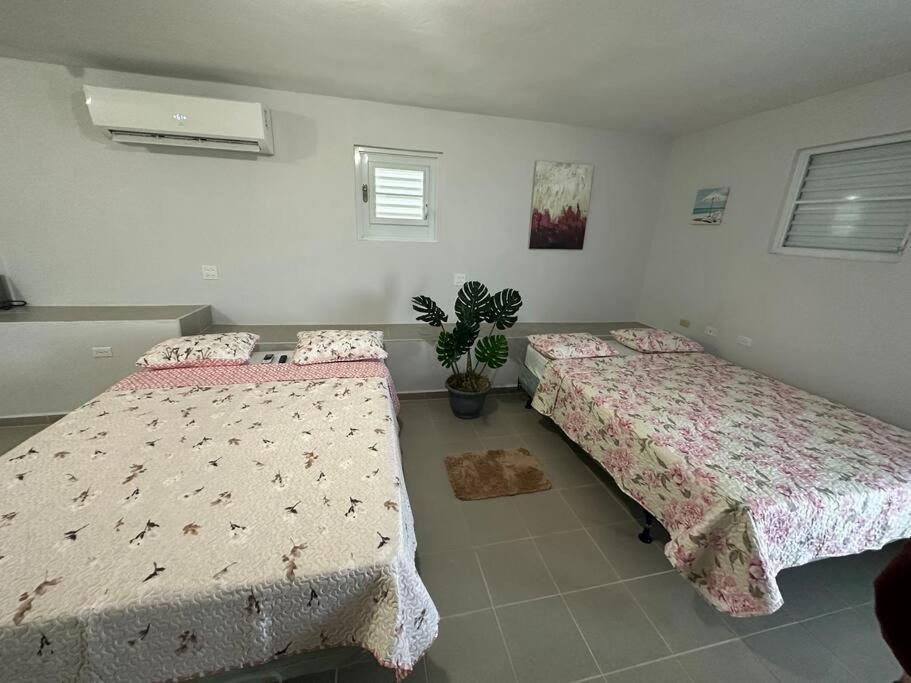 Oceanview 2 Διαμέρισμα Guayama Εξωτερικό φωτογραφία